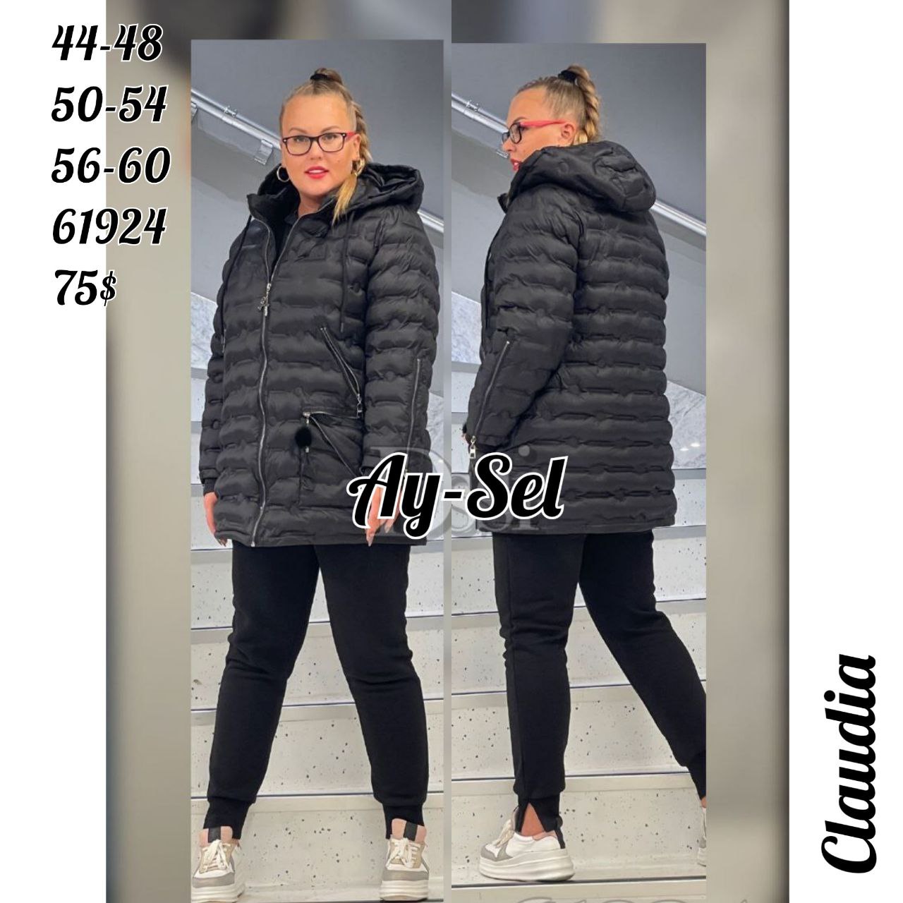 AY61924 MONT
